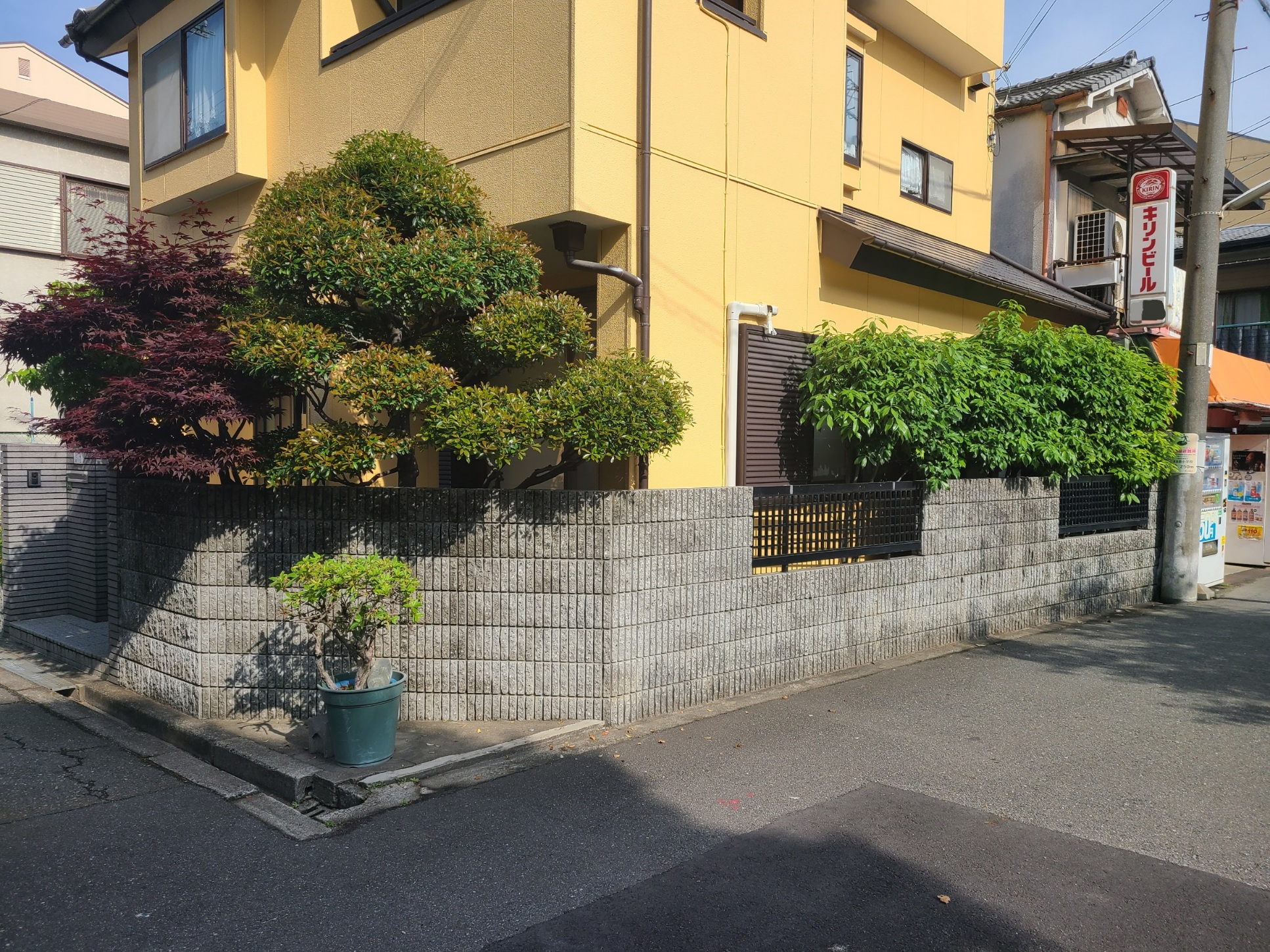 剪定作業